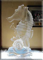 Sea Horse