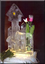 Bird House & Watering Can