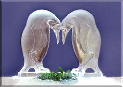 Emperor Penguins